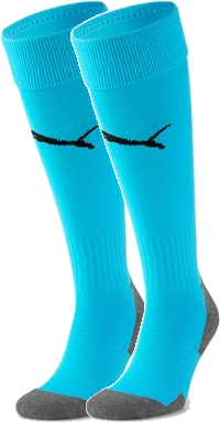 Puma - Teamliga Core Sock - Turquoise & zwart
